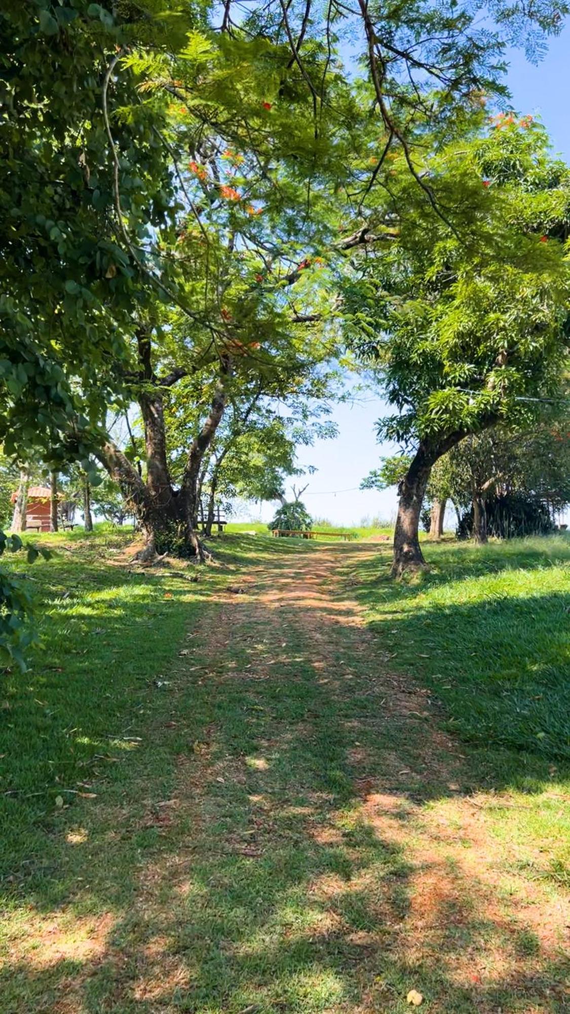 Hotel Fazenda Ararita Porto Feliz Luaran gambar