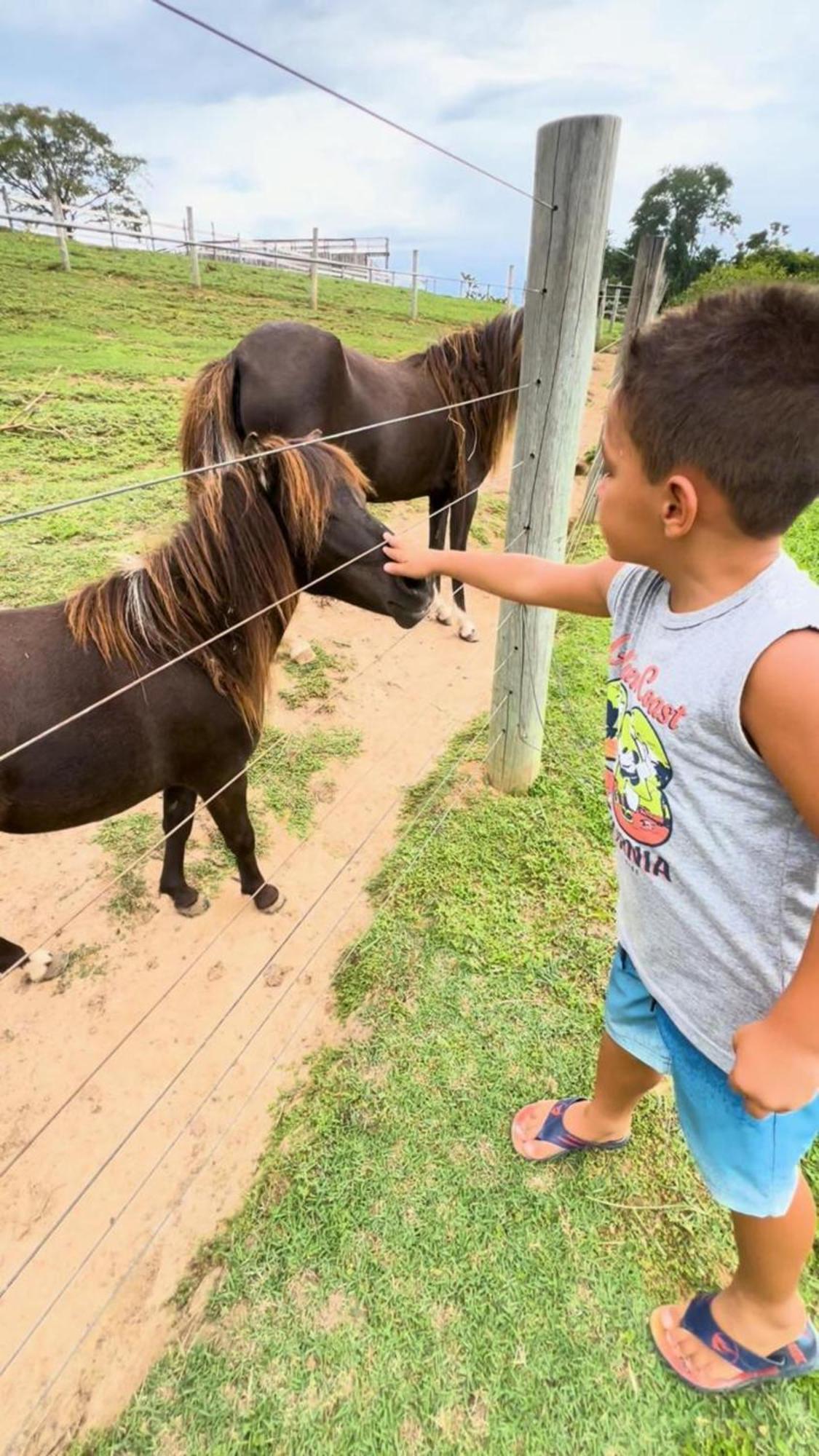 Hotel Fazenda Ararita Porto Feliz Luaran gambar